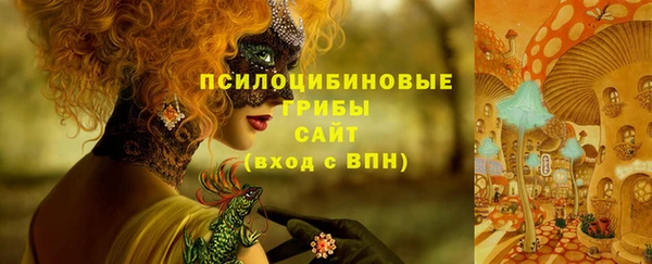 mdpv Медногорск