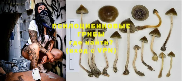 mdpv Медногорск