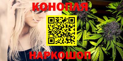 прущие грибы Дубна