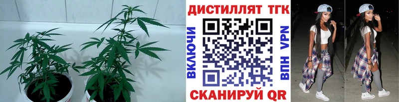 ТГК гашишное масло  Прокопьевск 
