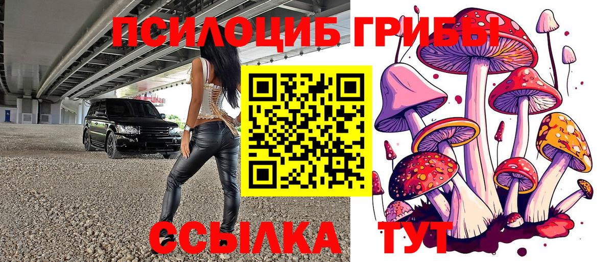 Галлюциногенные грибы Psilocybe Прокопьевск