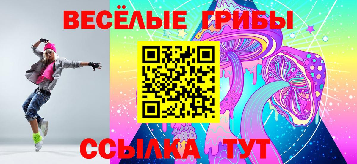 Галлюциногенные грибы Psilocybe  Вход с VPN  Псилоцибиновые грибы Cubensis  Прокопьевск 